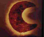 Fish design: Moon lamp