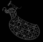 Roof plan of Olympic pool proposal, Thordarson 1998