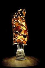 Fall lamp